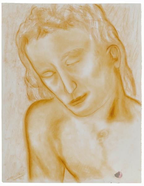 Studio di una testa femminile