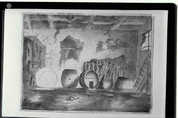 Interno di una cantina