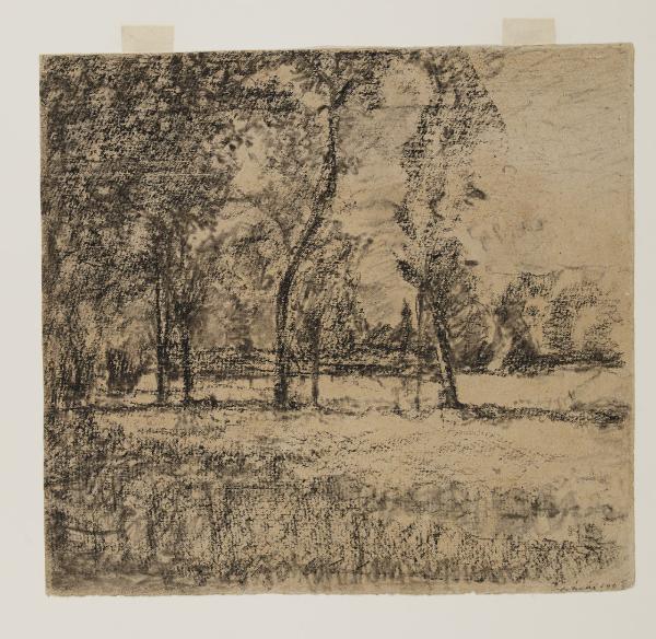 Paesaggio alberato