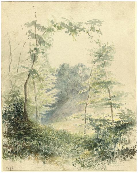 Studio di alberi