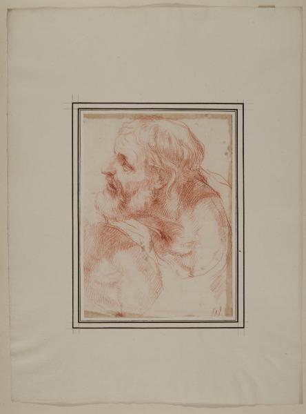 Studio di testa di vecchio