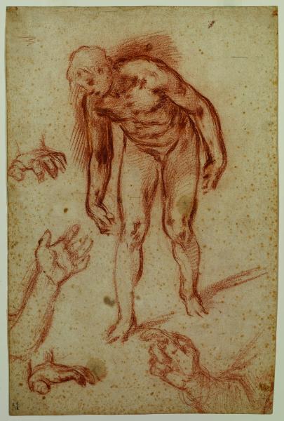 Figura maschile nuda china in avanti e quattro studi di mani