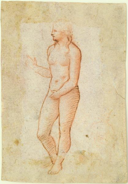 Studio di un nudo femminile