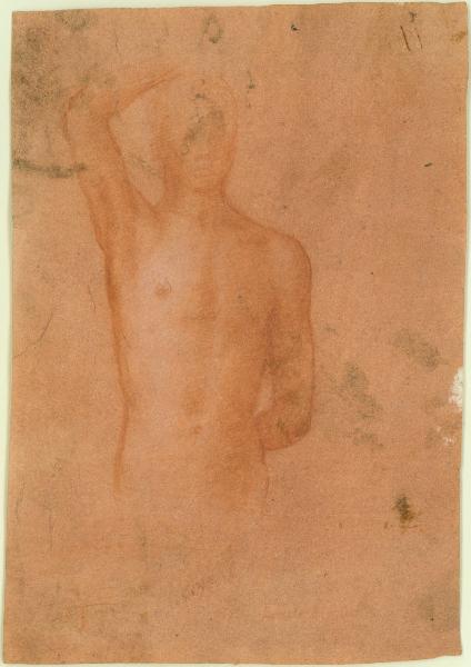 Studio di un torso per San Sebastiano