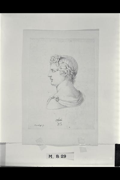 Busto di Apollo