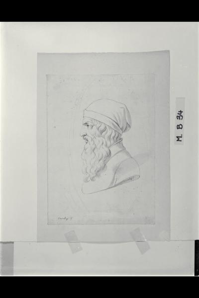 Busto virile di profilo
