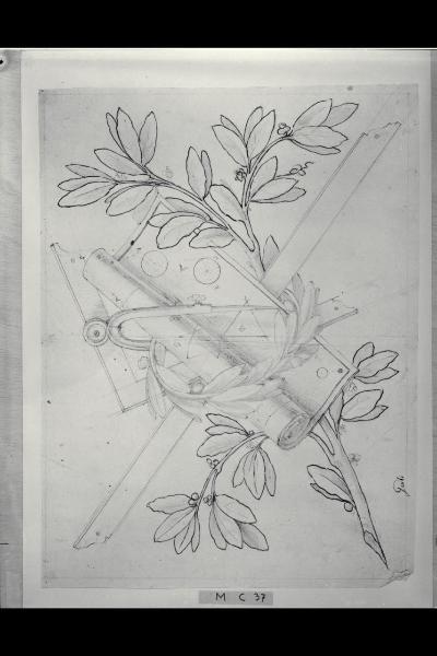 Ramo di lauro con attributi del Disegno geometrico