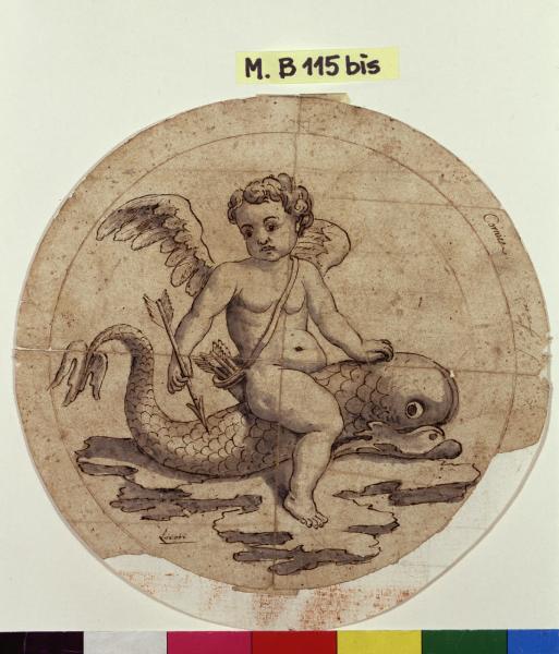 Amorino che cavalca un delfino