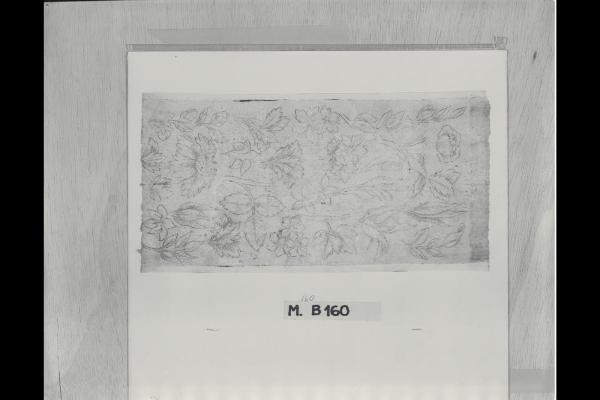Studio di fiori e foglie