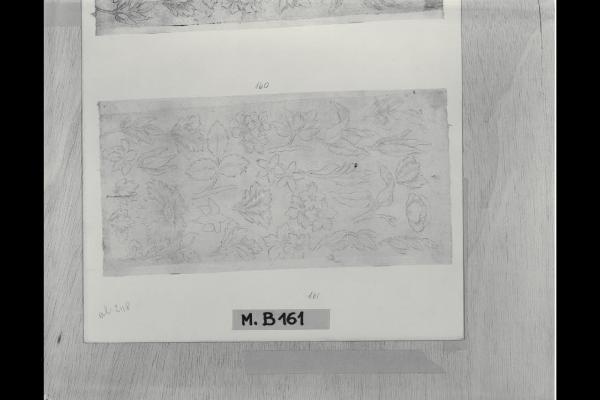 Studio di fiori e foglie