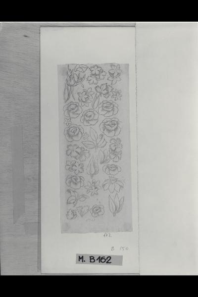 Studio di foglie e di fiori