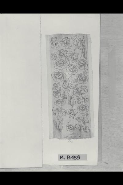 Studio di foglie e fiori