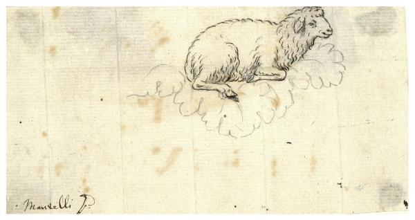 Agnello