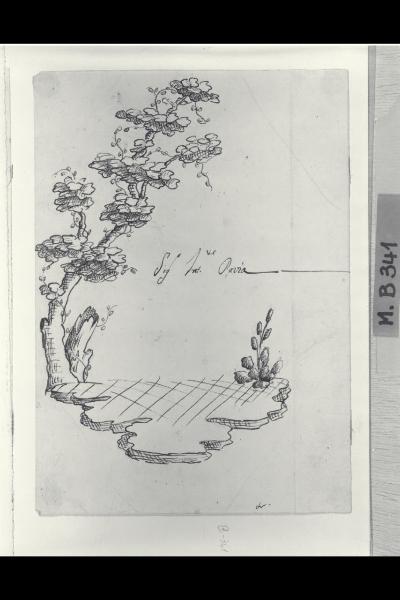 Albero a arbusto