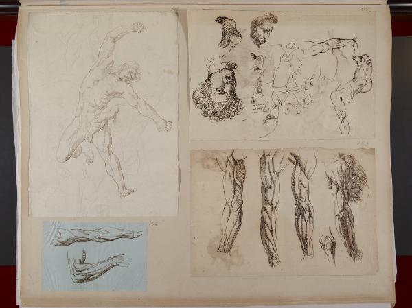 Abbozzo di una composizione, particolari anatomici e studi di teste