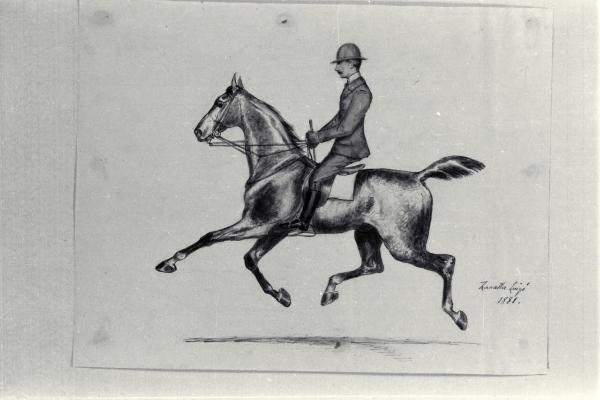 Signore su un cavallo al trotto