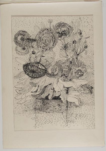 Fiori