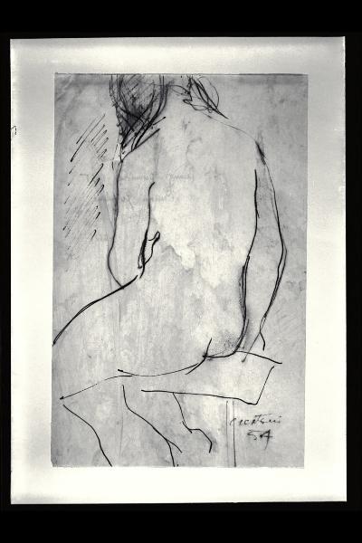 Nudo di donna visto di schiena