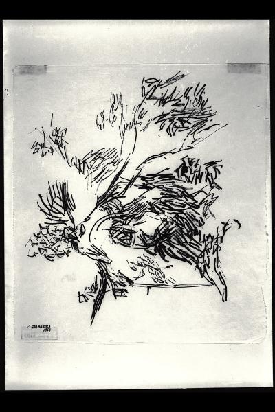 Composizione (albero?)