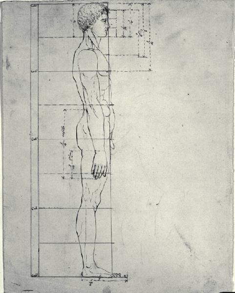 Canoni delle proporzioni del corpo umano