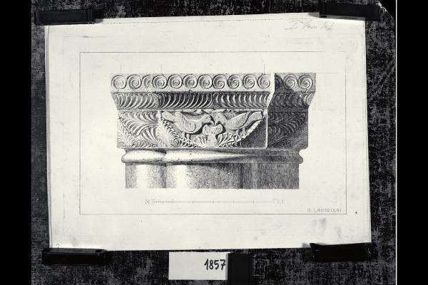 Chiesa di Santa Maria in Aurona a Milano, rilievo dell'apparato scultoreo: capitello di un pilastro con fregio fitomorfo e uccelli