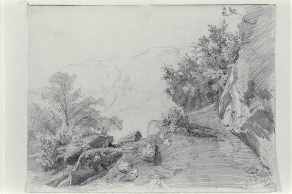 Paesaggio roccioso
