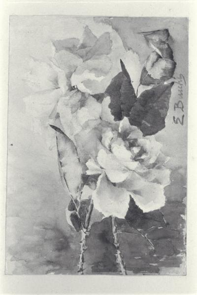 Due rose