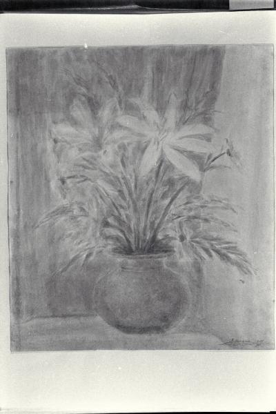 Fiori