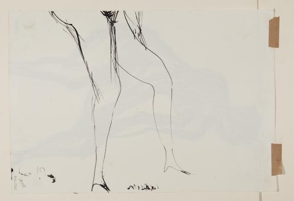 Schizzo di gambe (disegno tagliato)