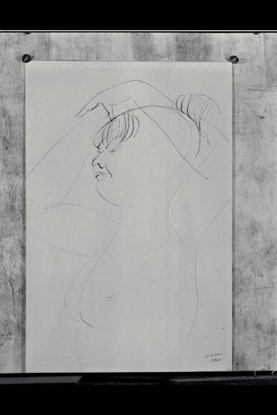 Busto di donna