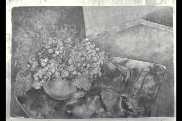 Fiori di montagna