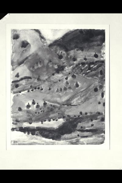 Alberi sui colli dell'Oltrepo