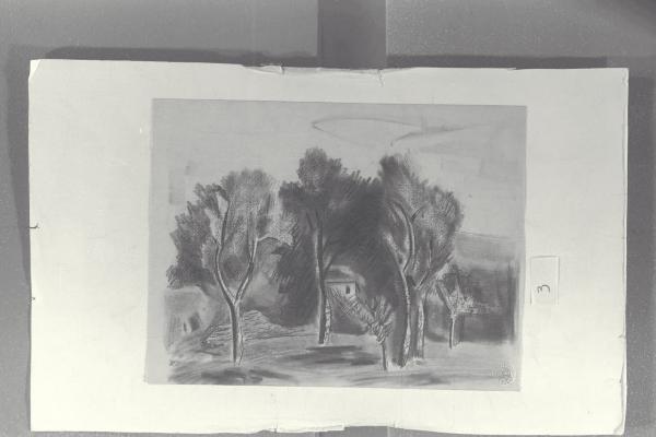 Alberi e casa