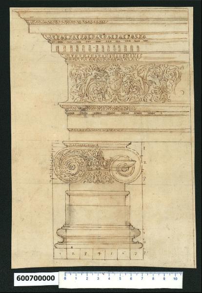 Base, capitello e trabeazione dell'ordine ionico