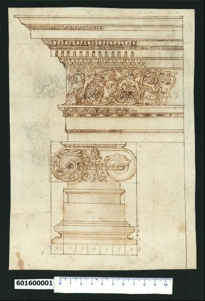 Base, capitello e trabeazione dell'ordine ionico