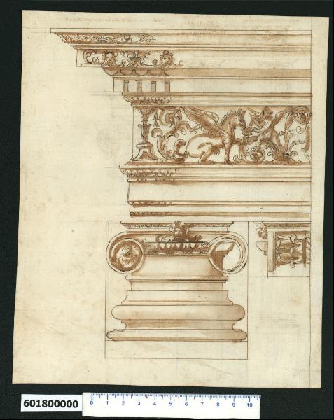 Base, capitello e trabeazione dell'ordine ionico