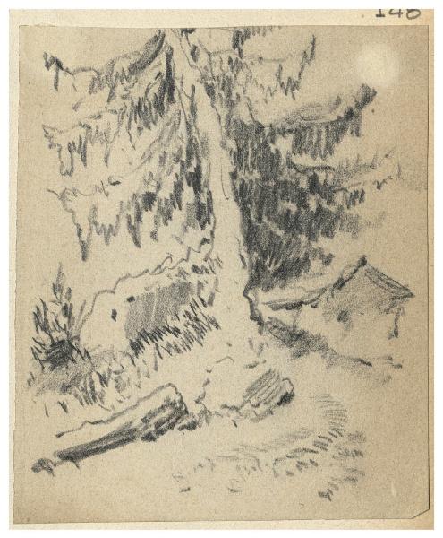 Albero