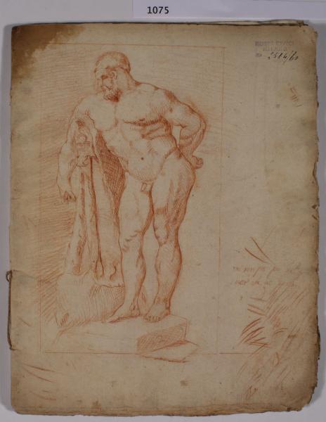 Ercole Farnese