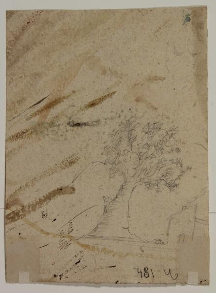 Abbozzo di albero e casa