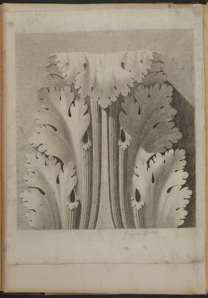 Decorazione con foglie d' acanto