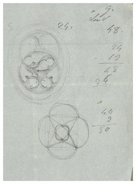 Elementi decorativi del Palazzo della Ragione