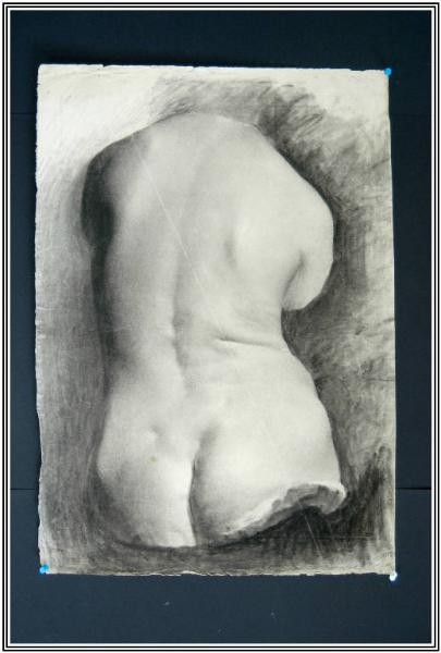 TORSO FEMMINILE