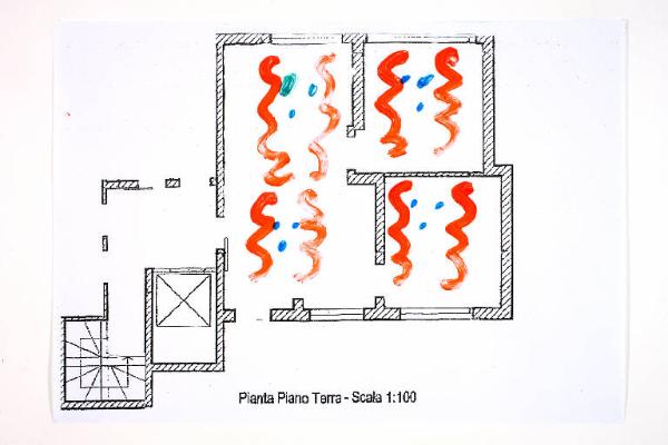 Composizione di forme organiche