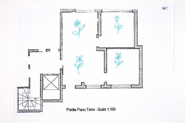 Composizione di forme organiche