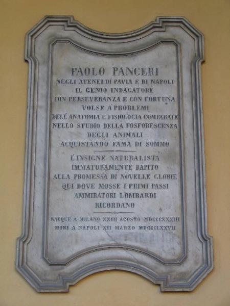 PANCERI PAOLO