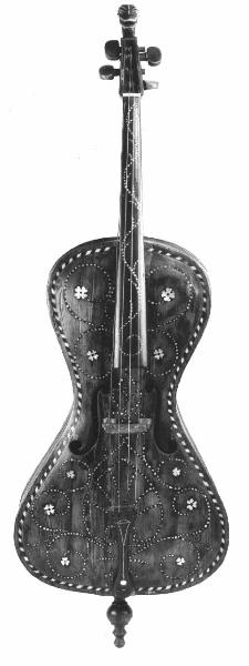 Violoncello