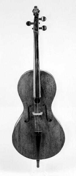 Violoncello