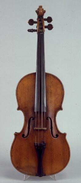 Violino