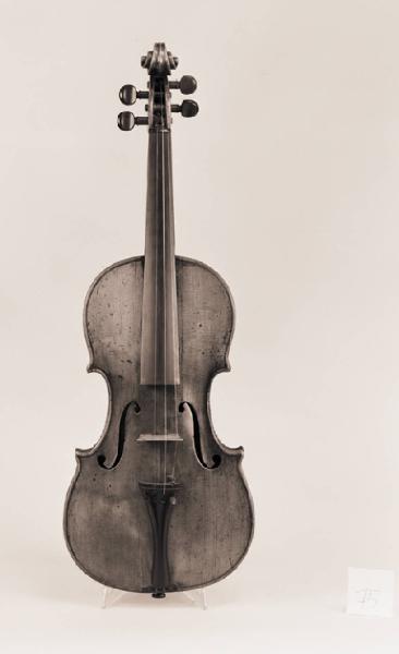 Violino