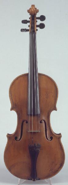 Violino